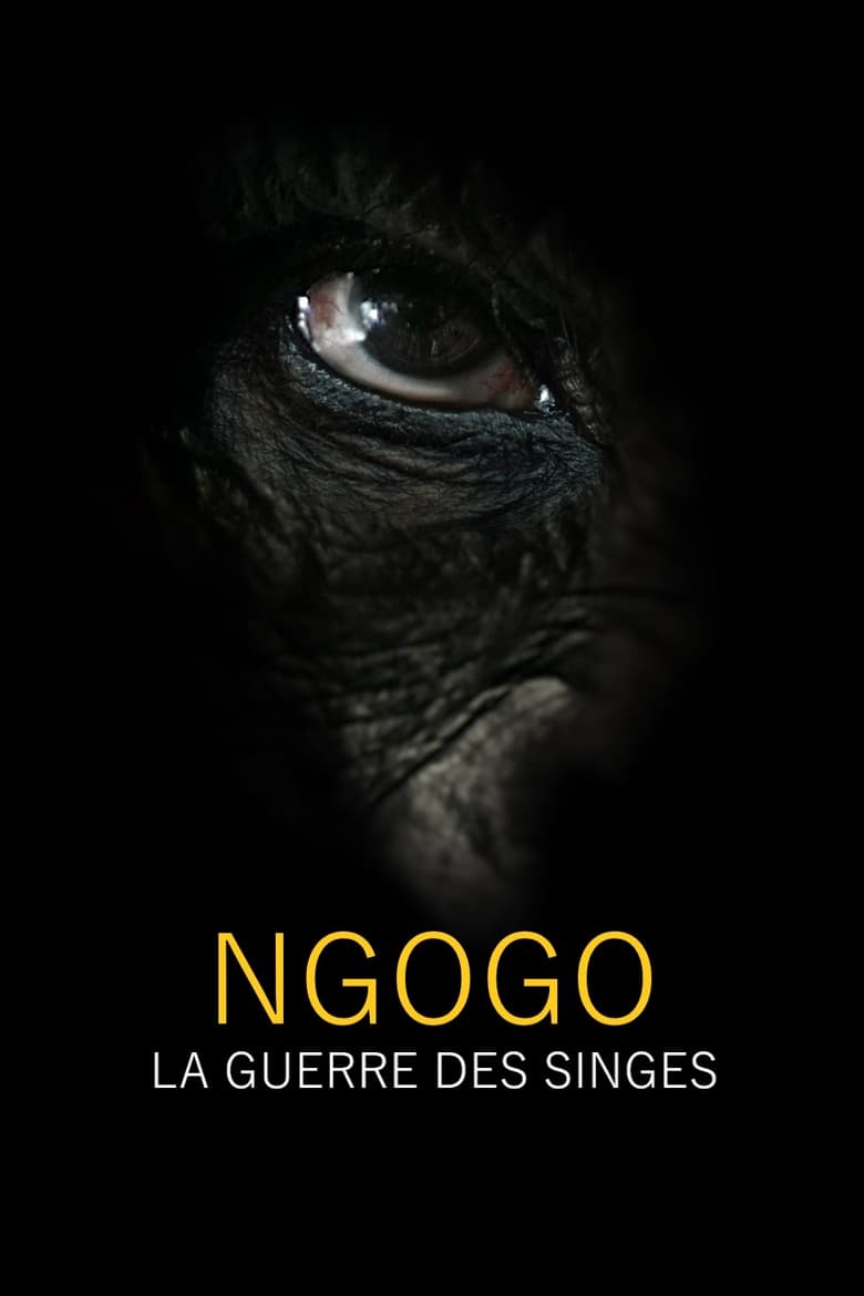 affiche du film Ngogo : la guerre des singes