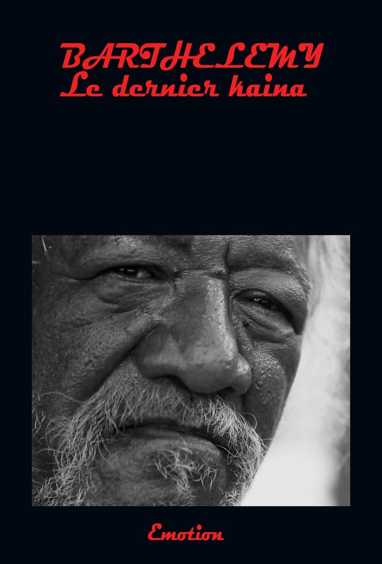 affiche du film Barthélémy le dernier kaina