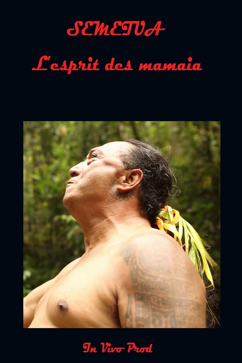 affiche du film Semetua l'esprit des mamaia