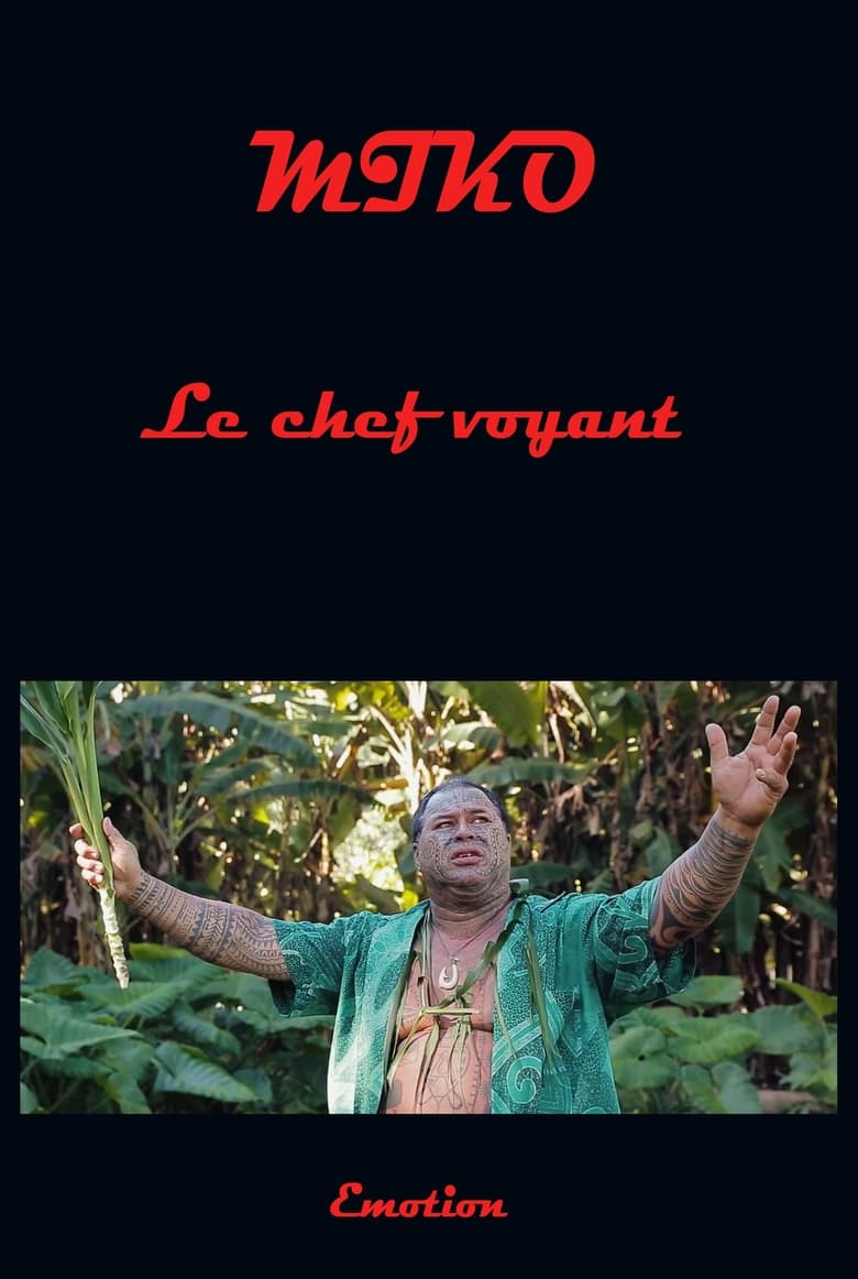 affiche du film Miko le chef voyant
