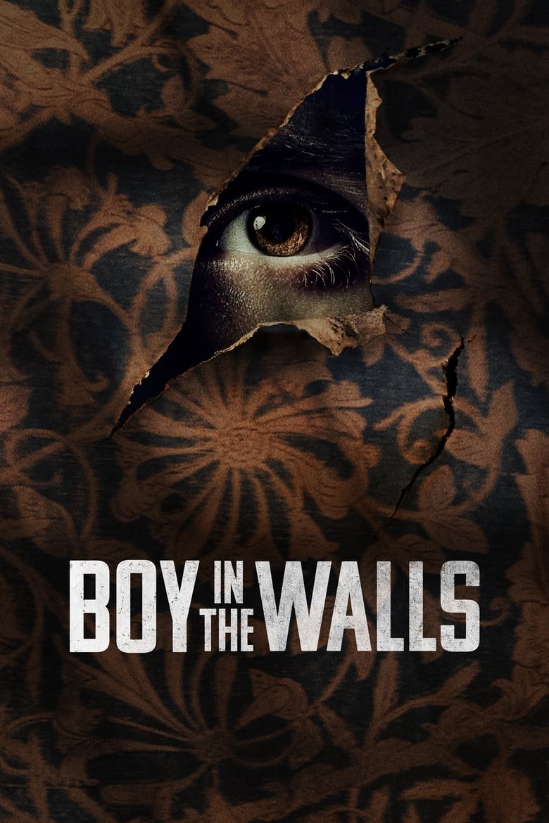 affiche du film Le garçon dans les murs