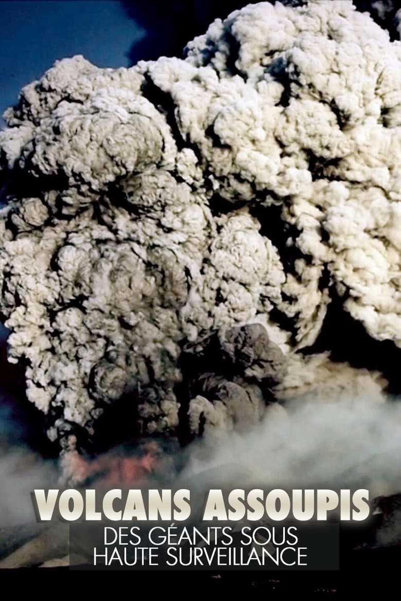 affiche du film Volcans assoupis - Des géants sous haute surveillance