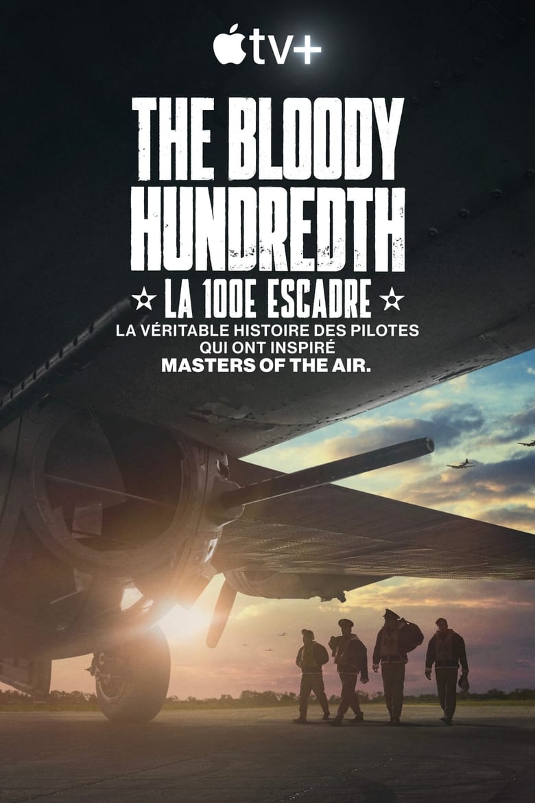 affiche du film The Bloody Hundredth : la 100e escadre