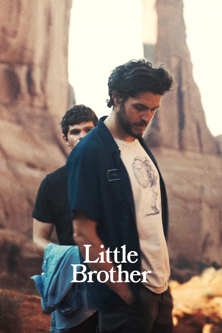 affiche du film Little Brother