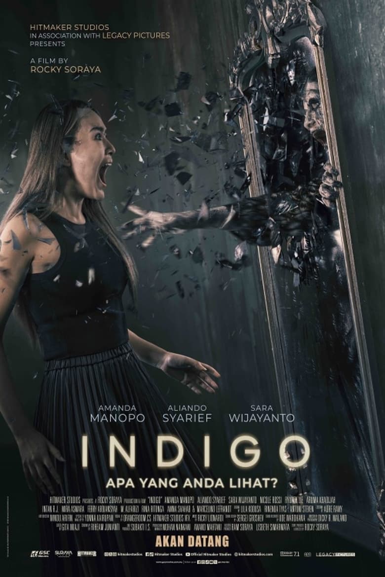 affiche du film Indigo