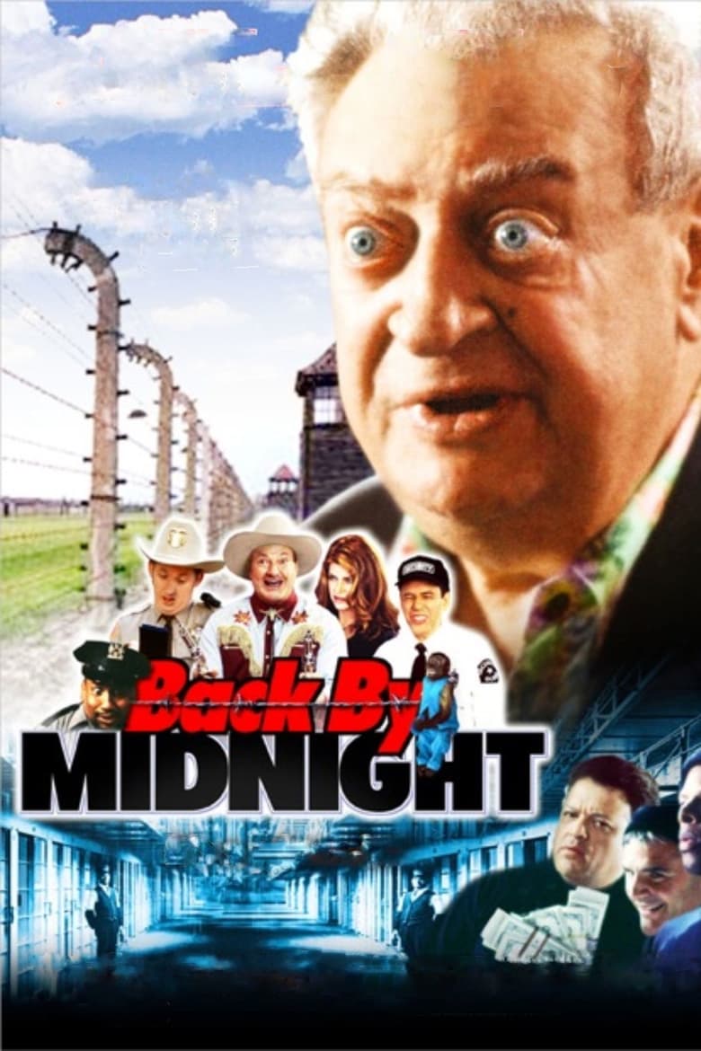 affiche du film De retour pour minuit