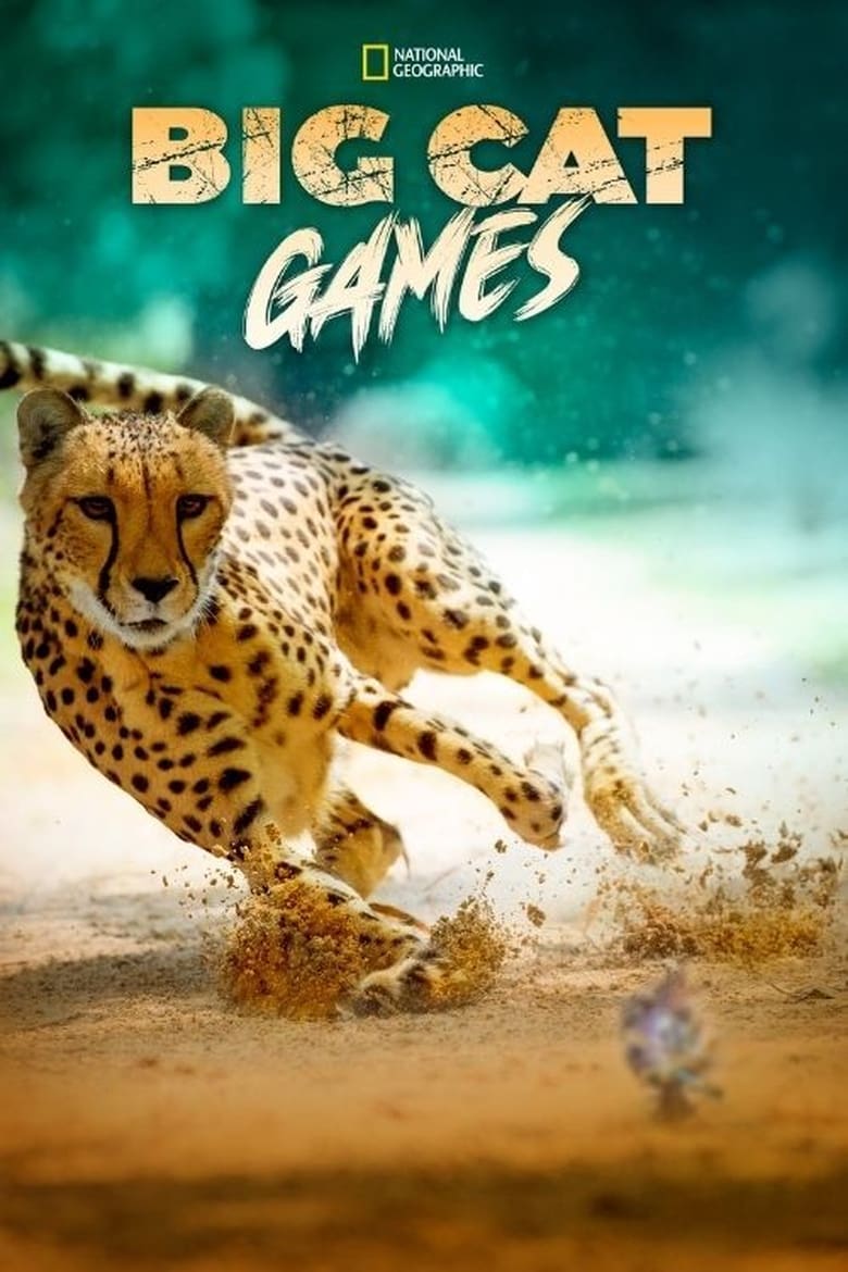 affiche du film Big Cat Games