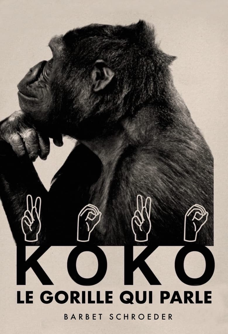 affiche du film Koko, le gorille qui parle