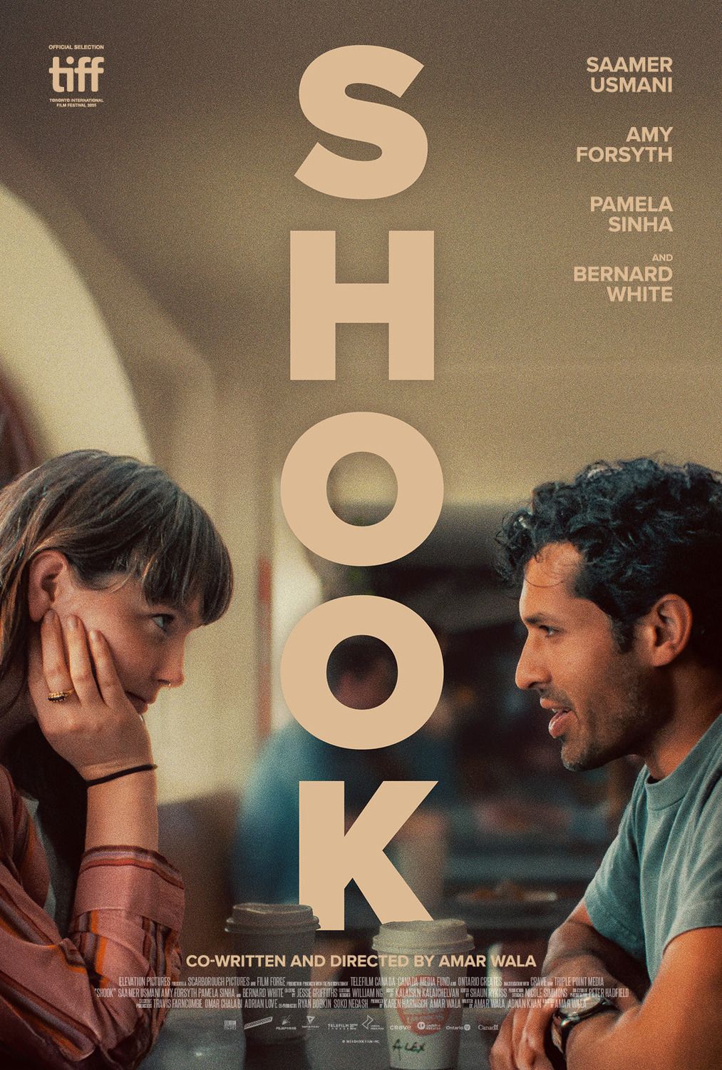 affiche du film Shook