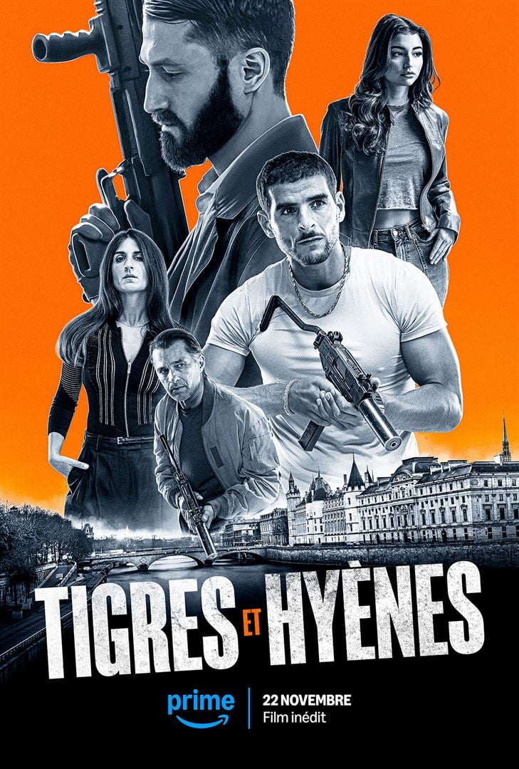 affiche du film Tigres et hyènes