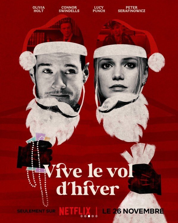 affiche du film Vive le vol d'hiver