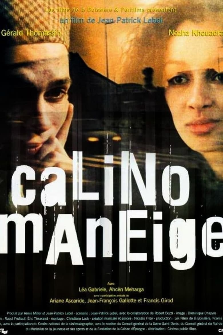affiche du film Calino Maneige