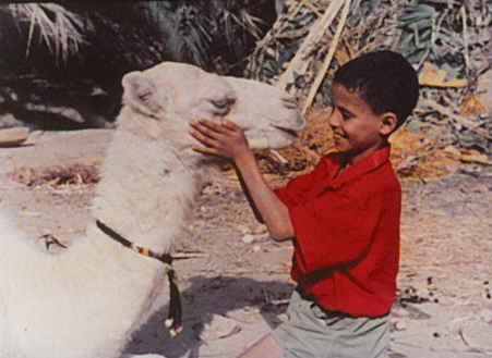 affiche du film Zaa, petit chameau blanc