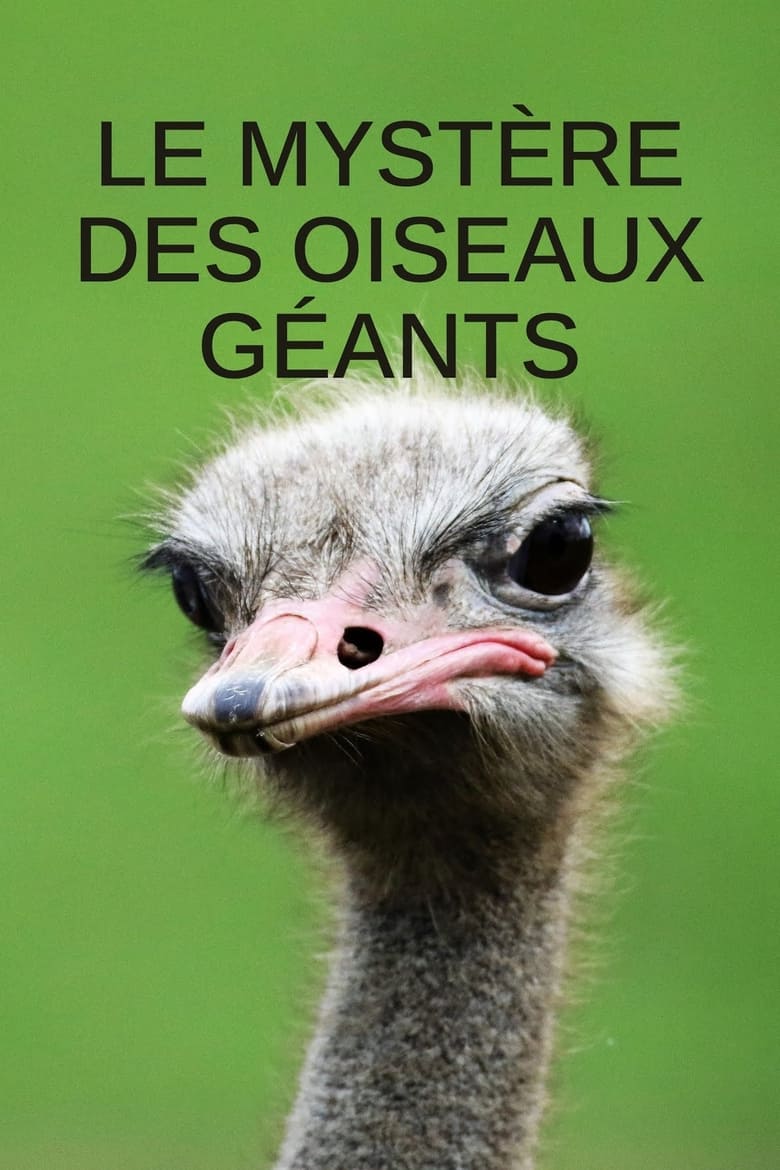 affiche du film Le mystère des oiseaux géants