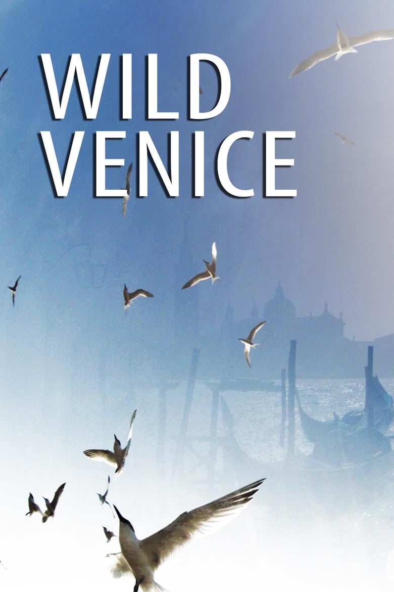 affiche du film Wild Venice