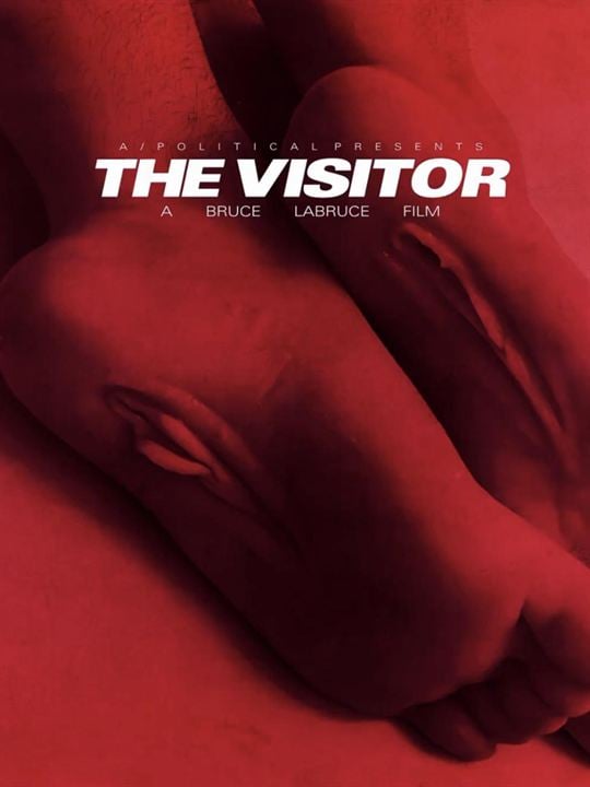 affiche du film The Visitor