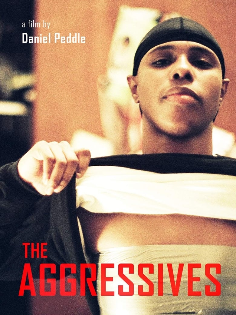 affiche du film The Aggressives