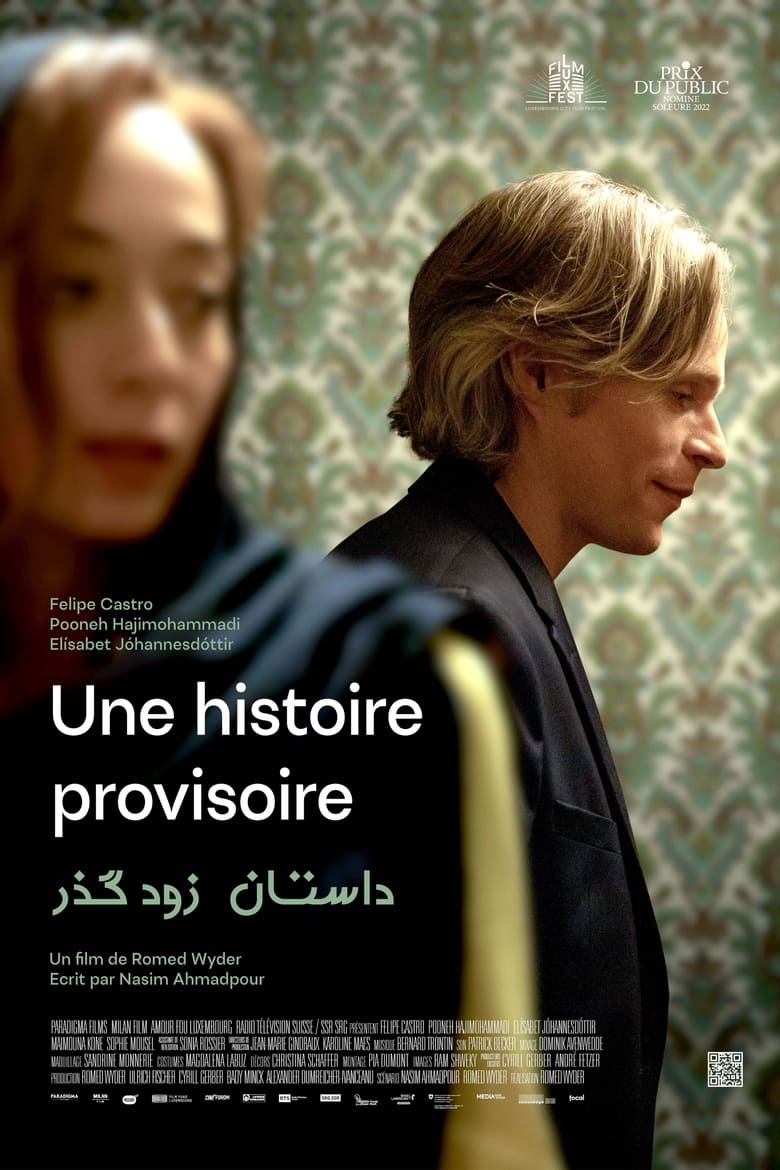 affiche du film Une histoire provisoire