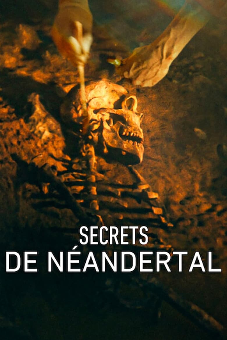 affiche du film Secrets de Néandertal