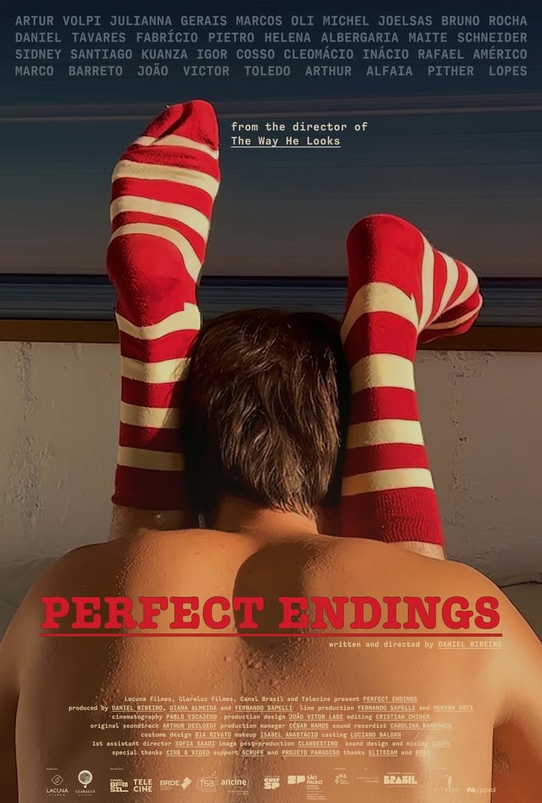 affiche du film Perfect Endings