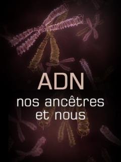 affiche du film L'ADN, nos ancêtres et nous