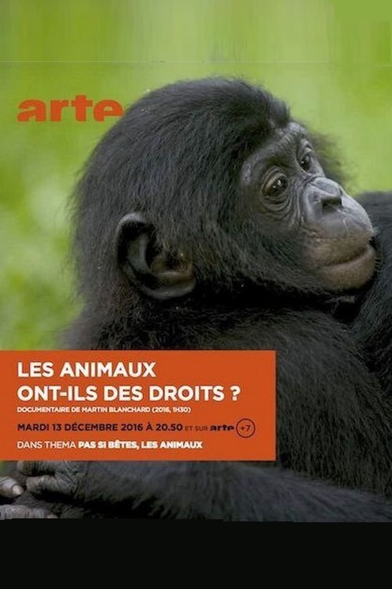 affiche du film Les animaux ont ils des droits?