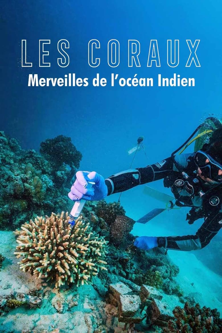 affiche du film Fascinants coraux : merveilles de l'océan Indien