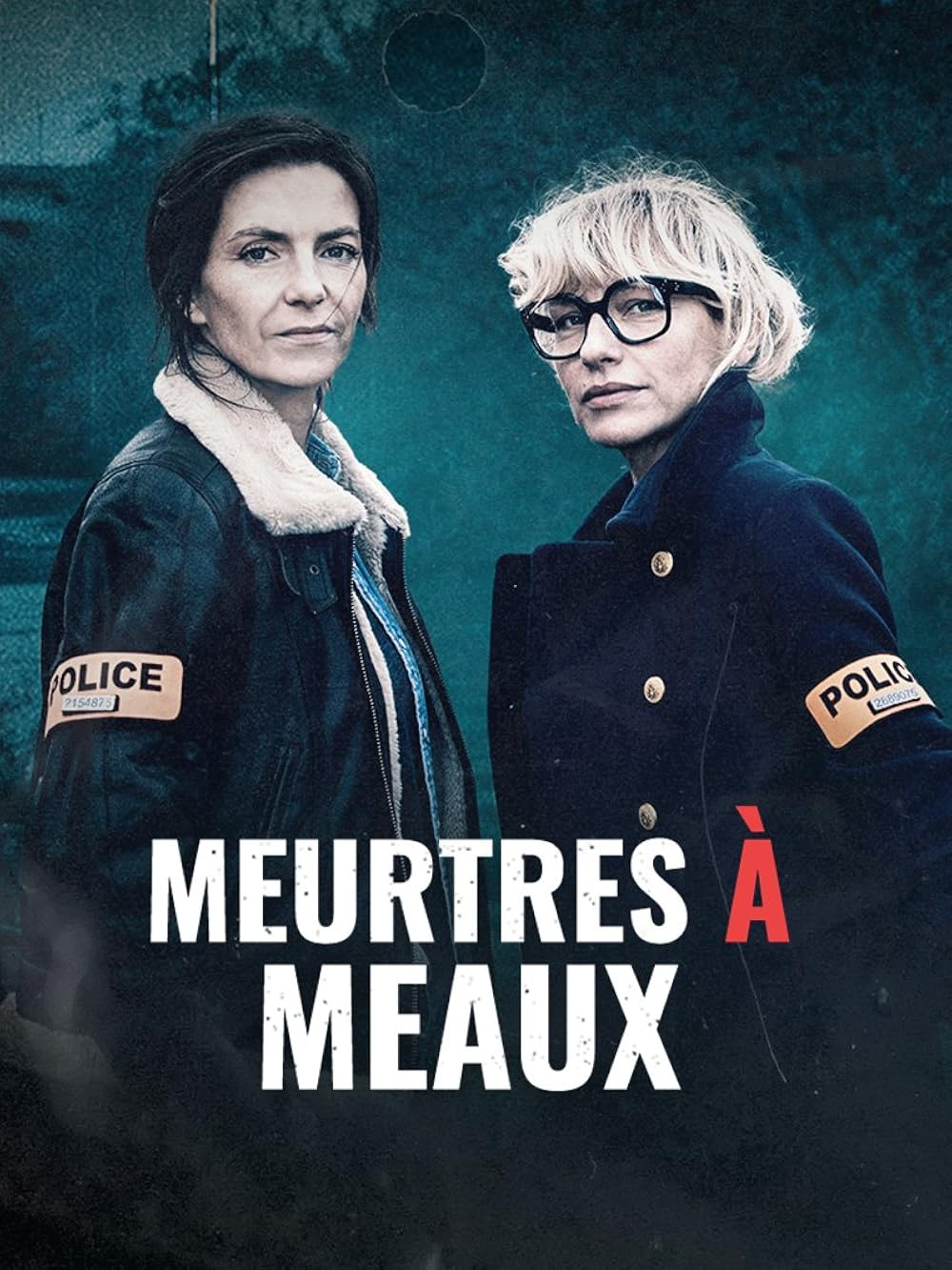 affiche du film Meurtres à Meaux