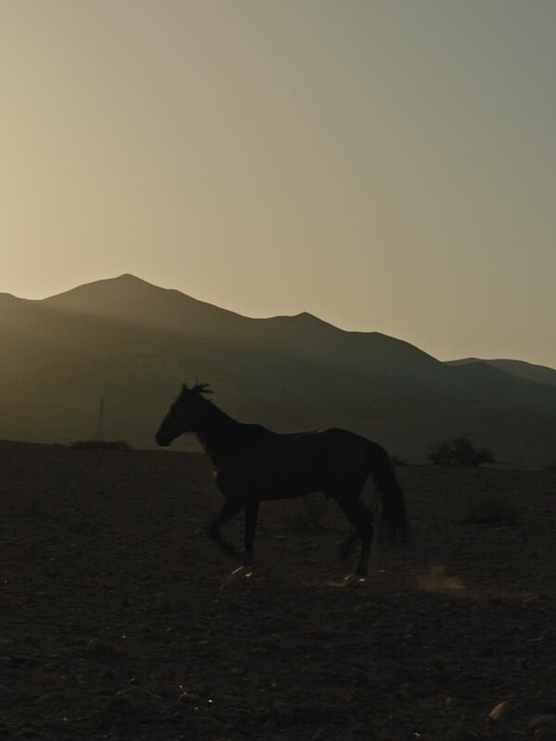 affiche du film Pourquoi As-Tu Laissé le Cheval à sa Solitude?