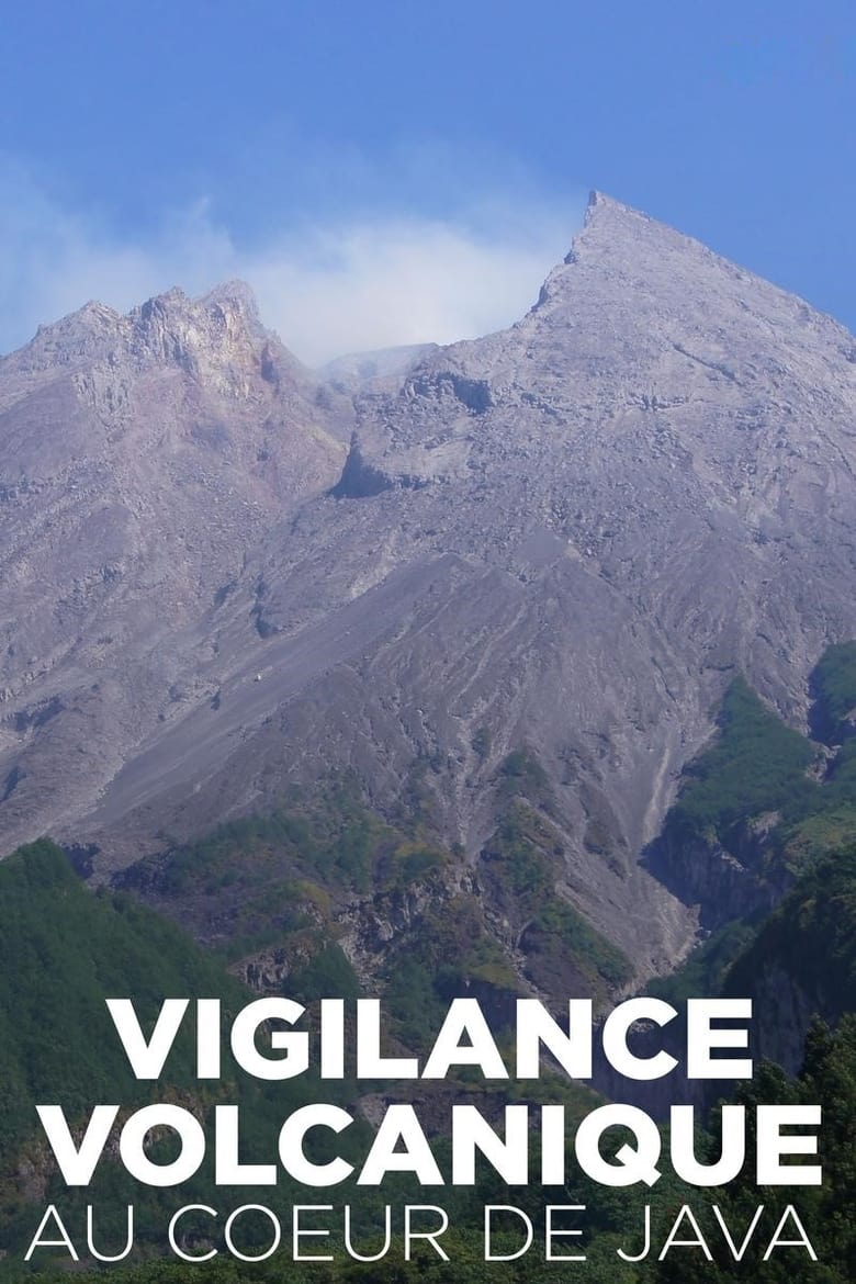 affiche du film Vigilance volcanique au coeur de Java