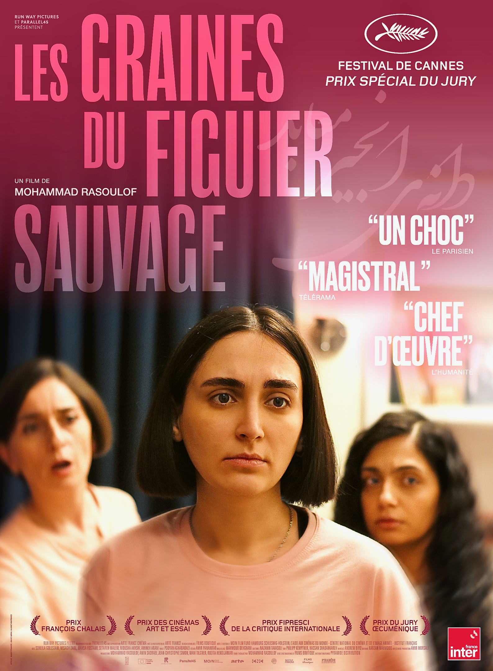 affiche du film Les Graines du figuier sauvage