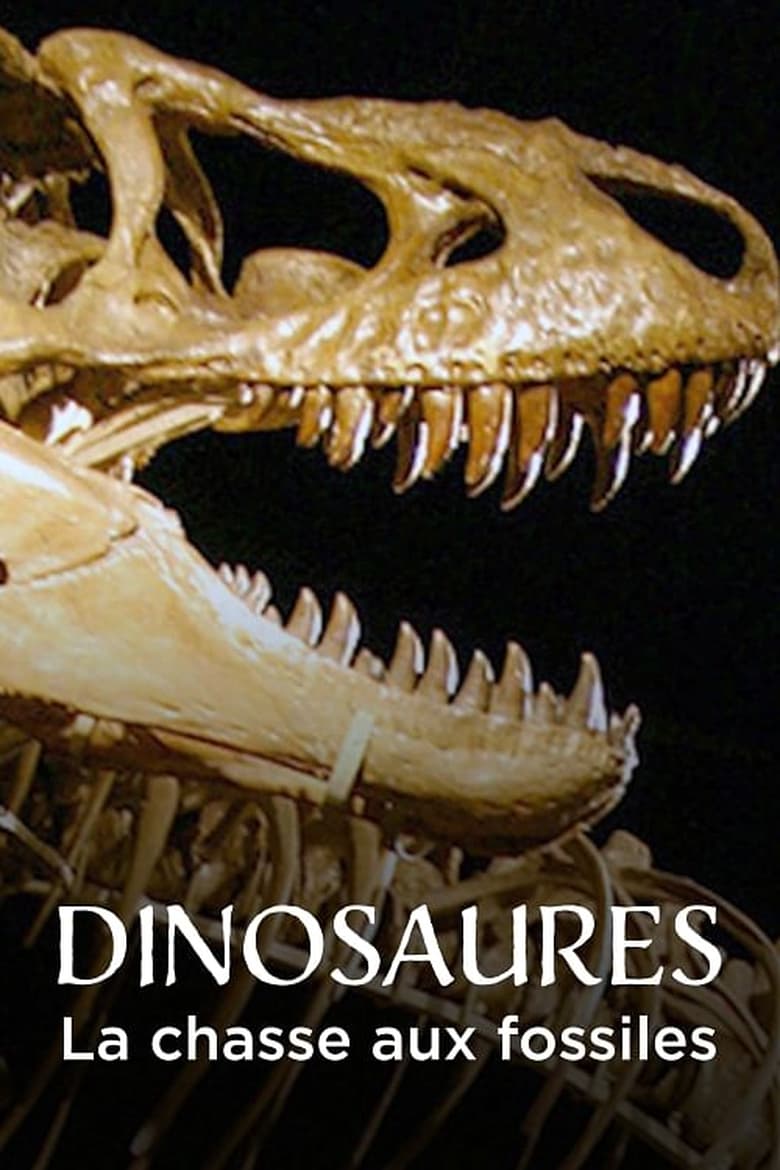 affiche du film Dinosaures, la chasse aux fossiles