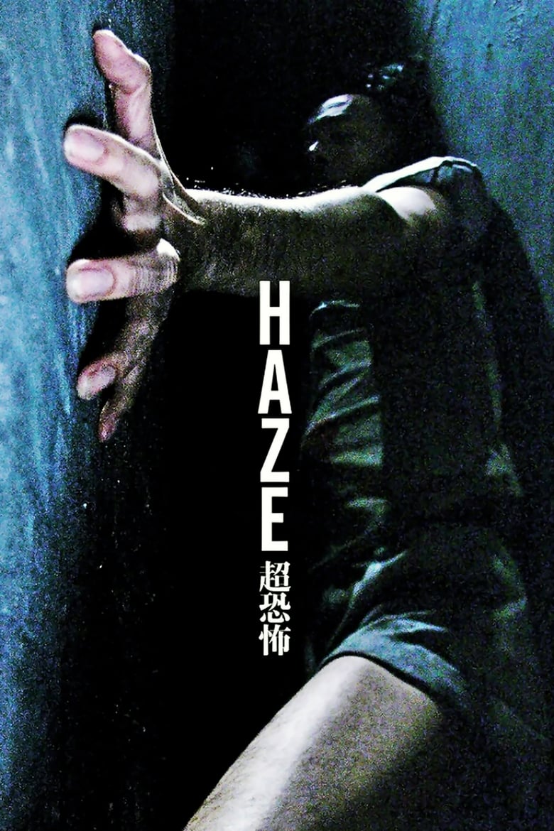 affiche du film Haze