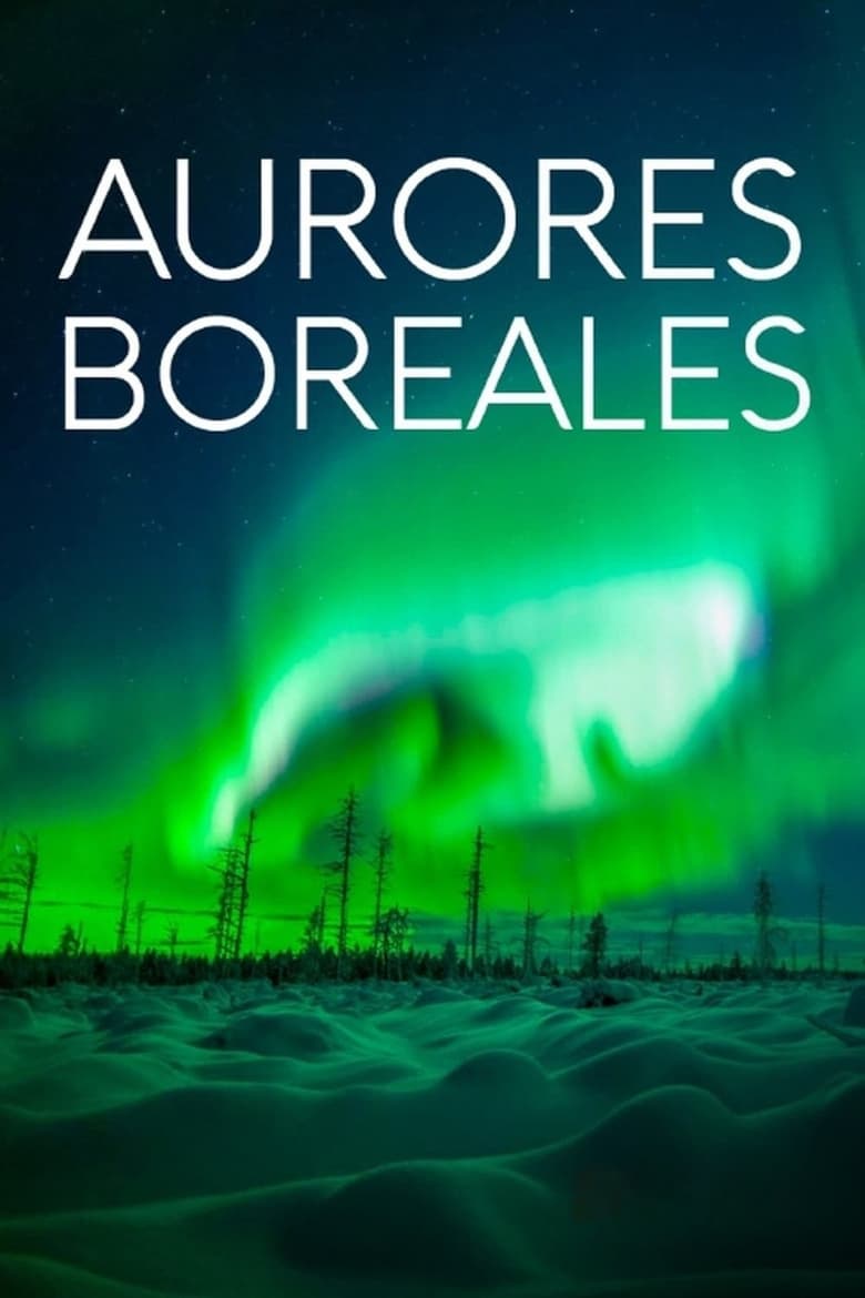 affiche du film Aurores boréales : Des lumières fascinantes mais menaçantes