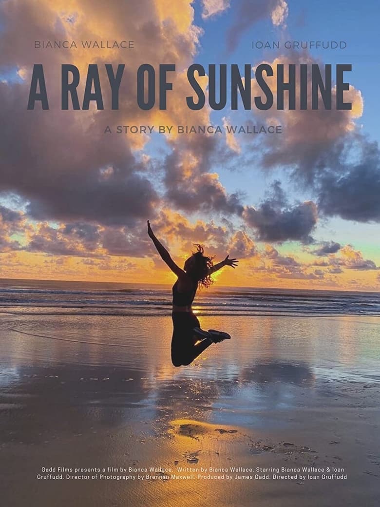 affiche du film A Ray of Sunshine