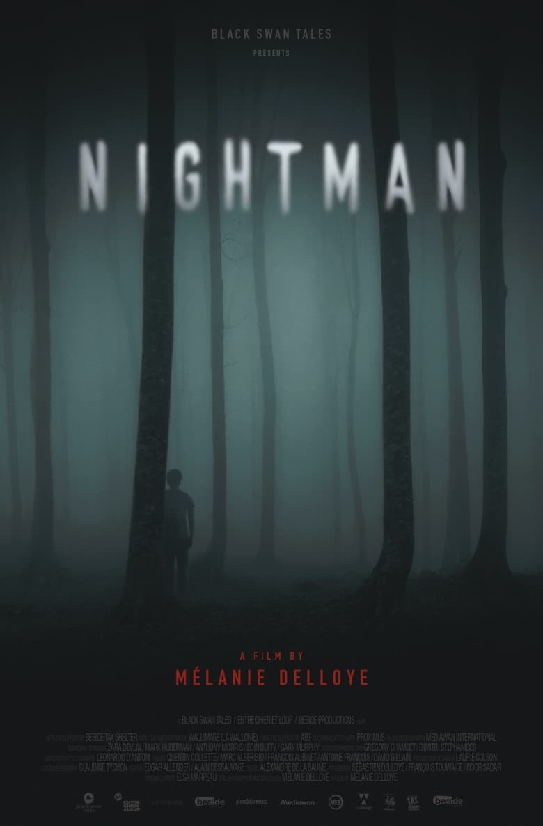 affiche du film The Nightman