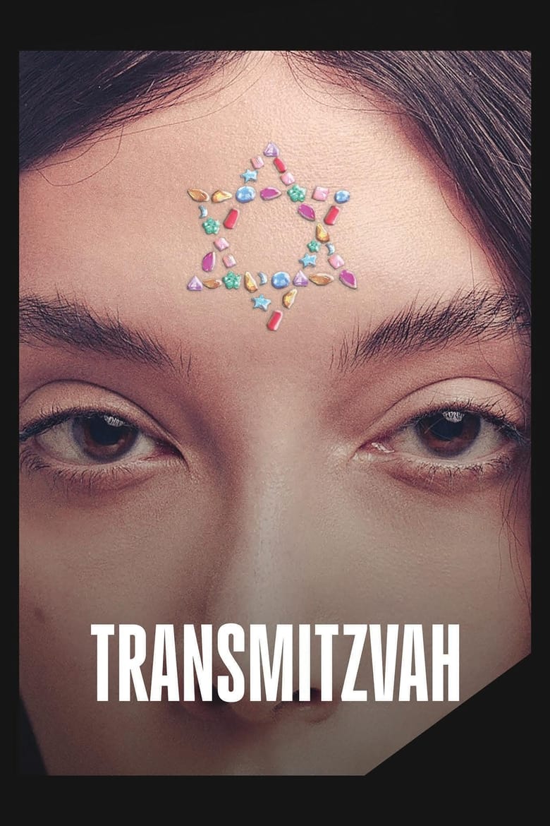 affiche du film Transmitzvah