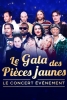 Le Gala des pièces jaunes 2024 : Le concert événement