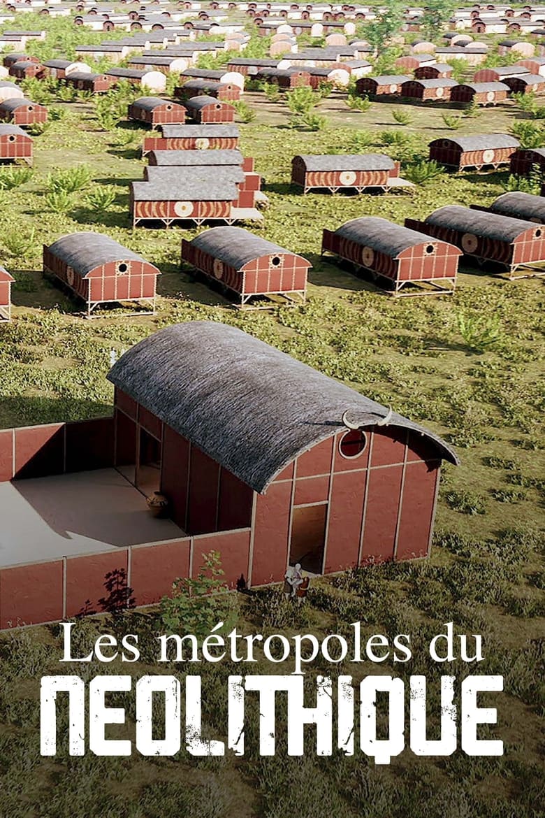 affiche du film Les Métropoles du Néolithique