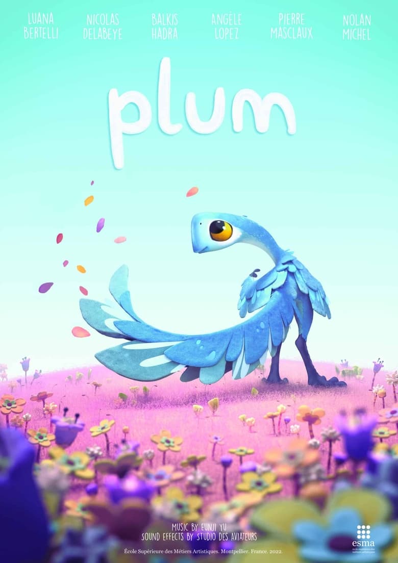 affiche du film Plum