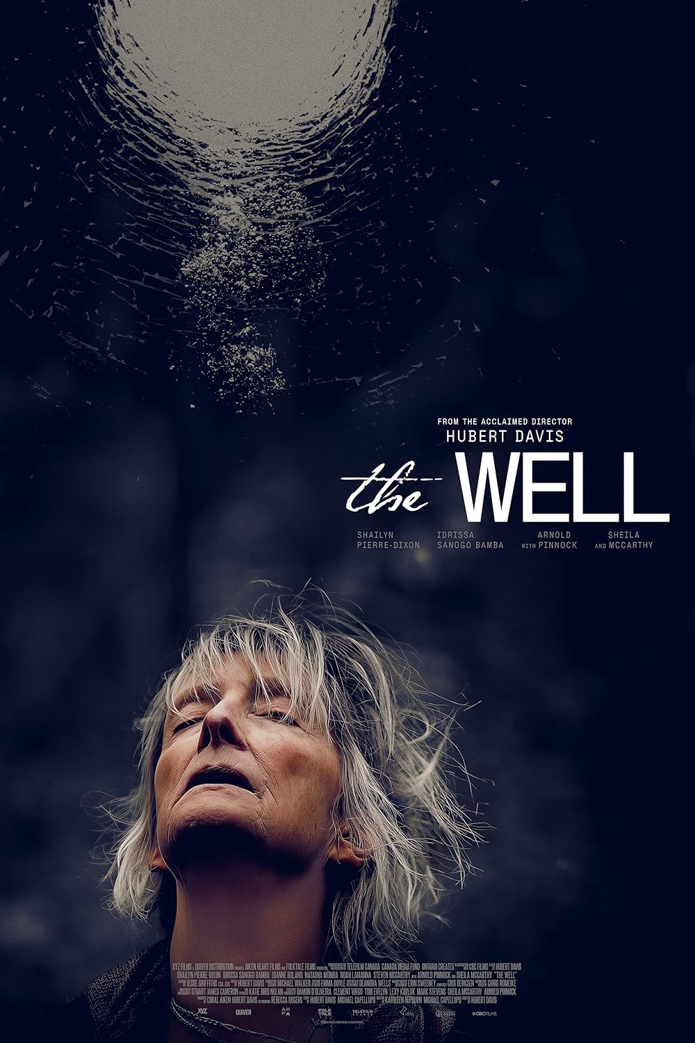 affiche du film The Well