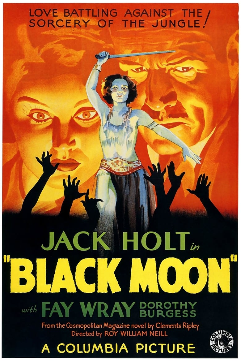 affiche du film La lune Noire