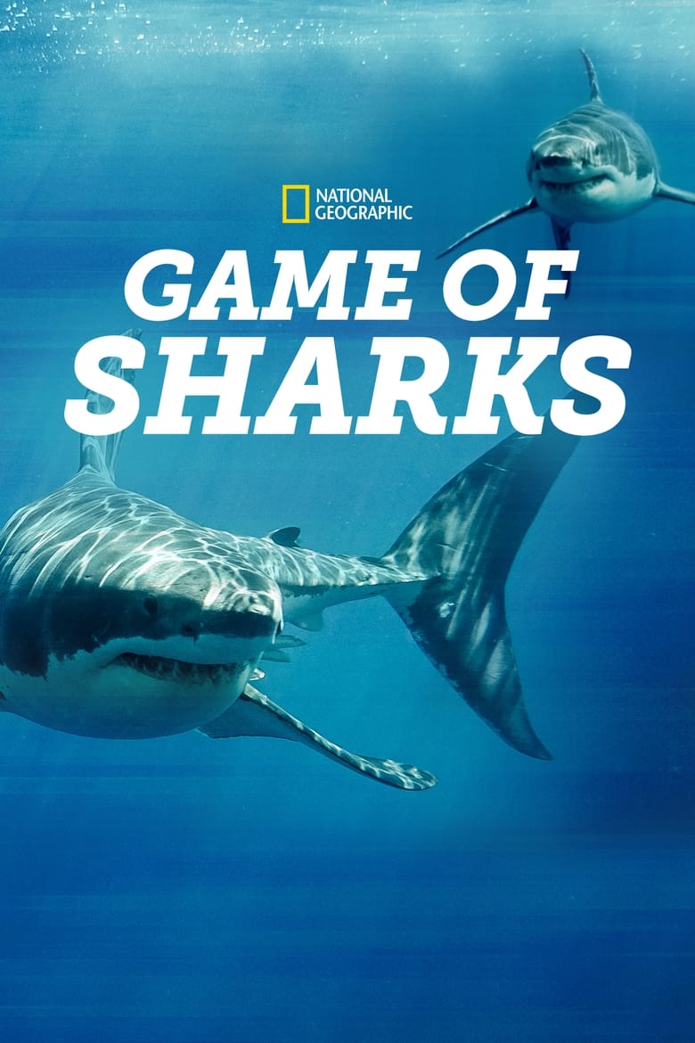 affiche du film Game of Sharks