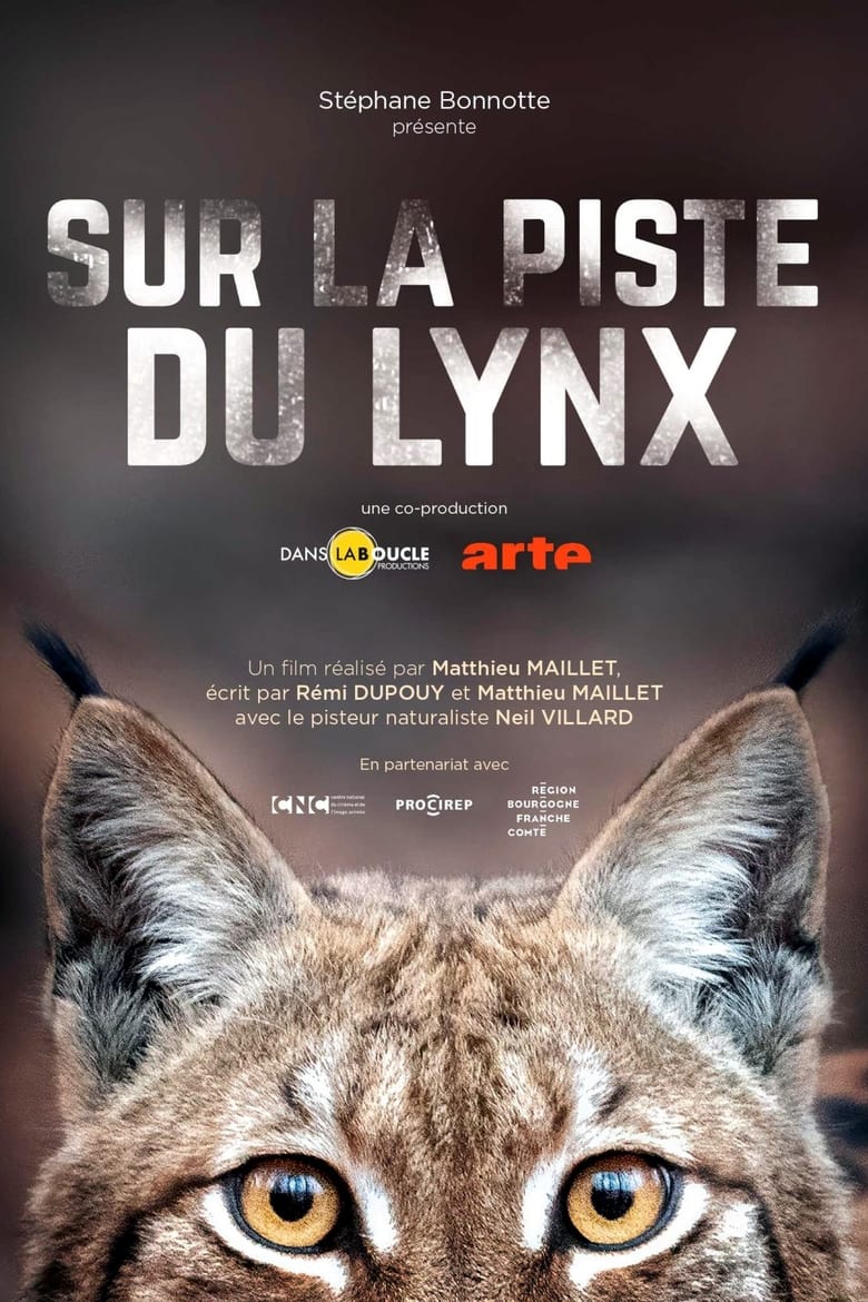 affiche du film Sur la piste du lynx