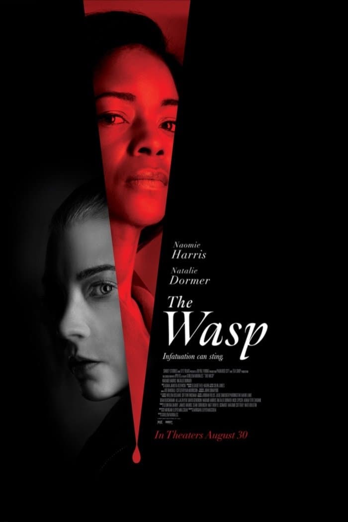 affiche du film The Wasp