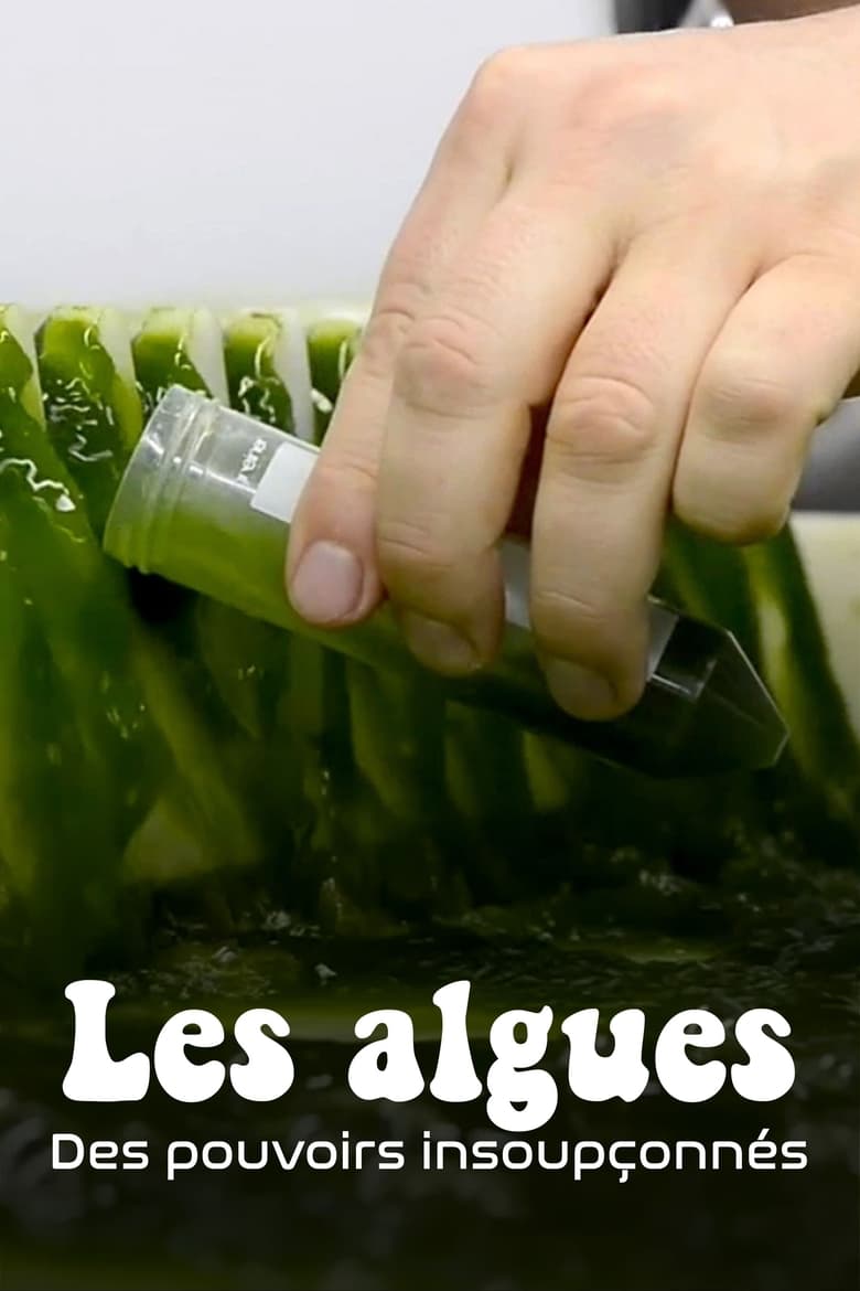 affiche du film Les Algues : Des pouvoirs insoupçonnés