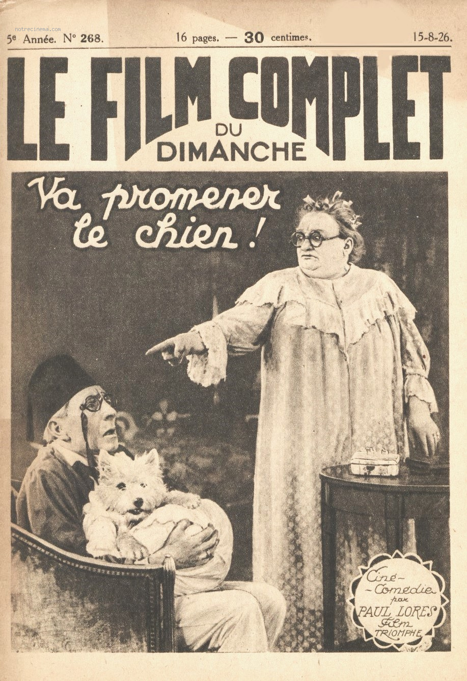 affiche du film Va promener le chien