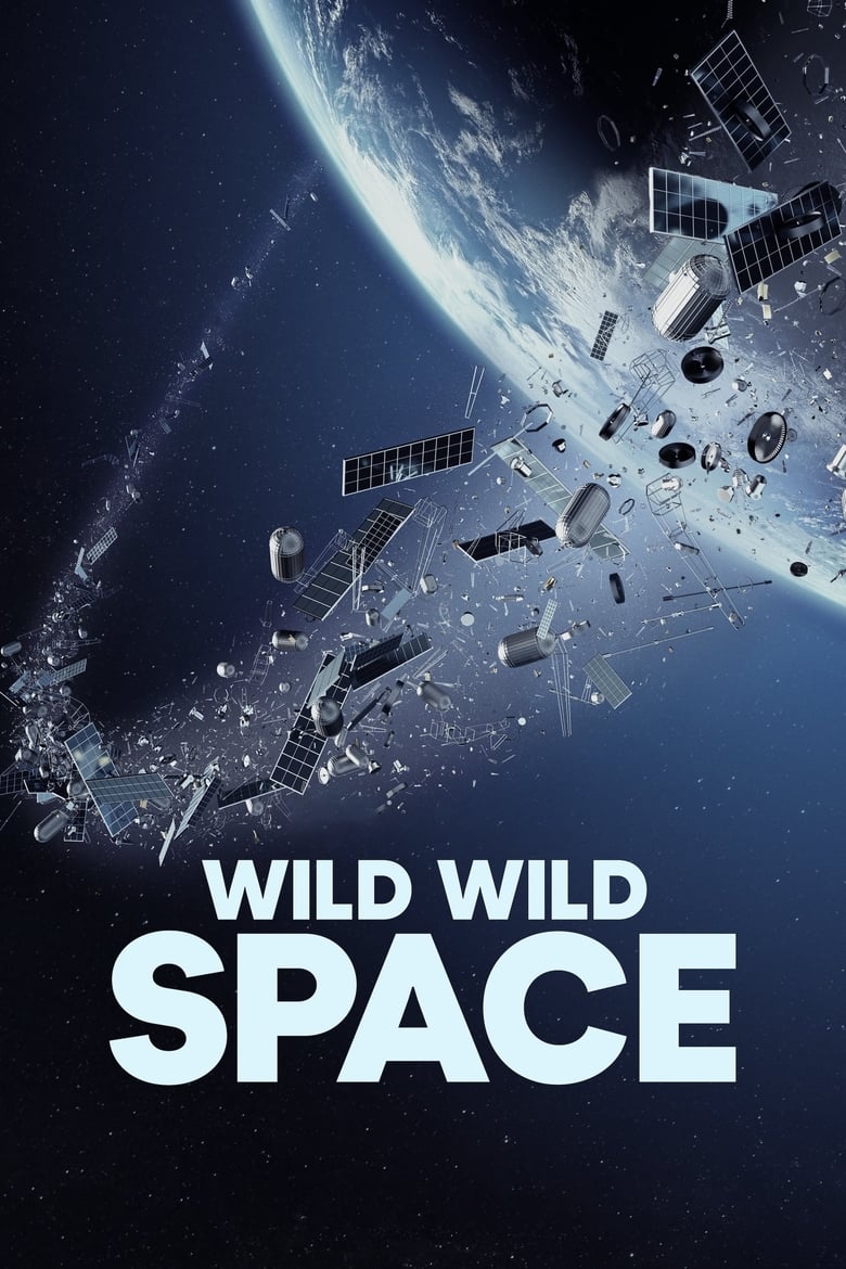 affiche du film Wild Wild Space