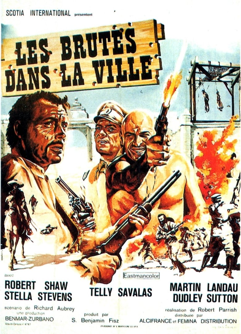 affiche du film Les Brutes dans la Ville