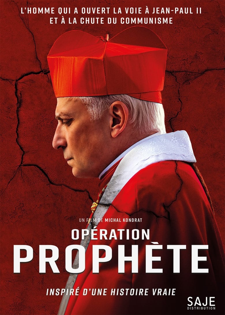 affiche du film Opération Prophète